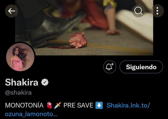 Shakira portada de Twitter. Foto: captura Twitter