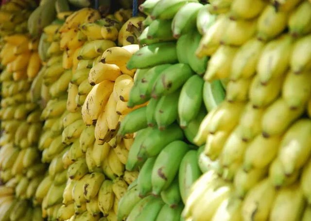 En Venezuela y Colombia, el fruto conocido como banana o plátano en otras partes de Sudamérica recibe nombres diferentes. Foto: Corredor.   