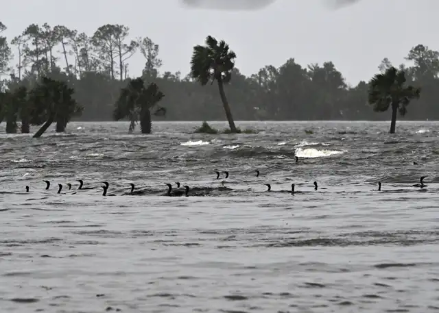  Se reportaron inundaciones en el Golfo de México. Foto: EFE<br>  