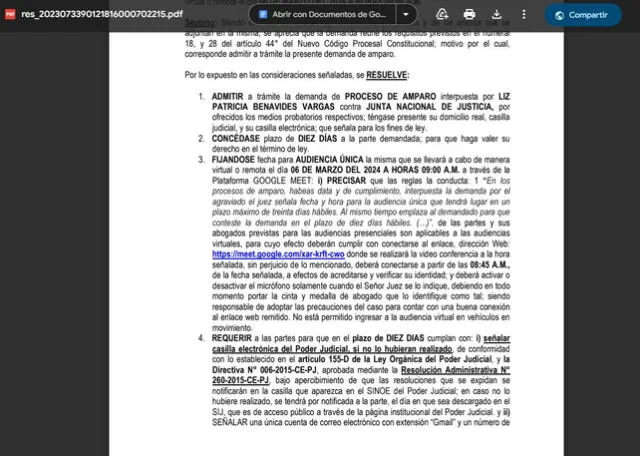  Resolución sobre una demanda de amparo de Patricia Benavides. Foto: captura del documento / Poder Judicial.&nbsp;<br><br>    