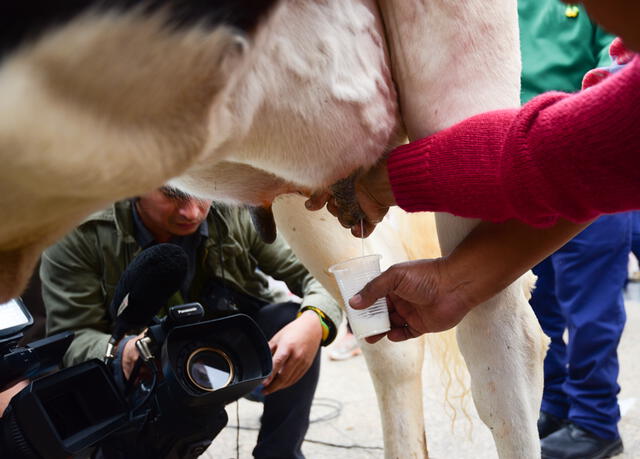 Ganaderos repartieron leche durante marcha blanca [FOTOS]