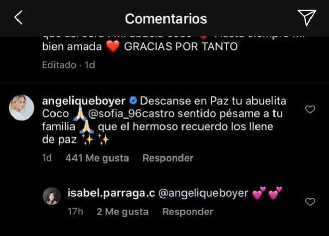 Angelique Boyer en Instagram