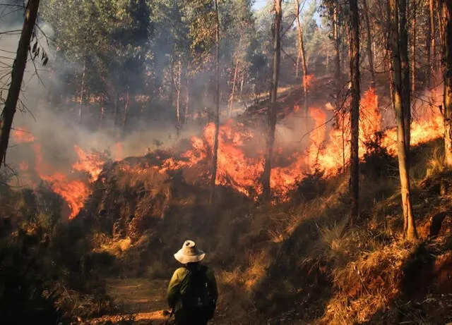 incendio forestal