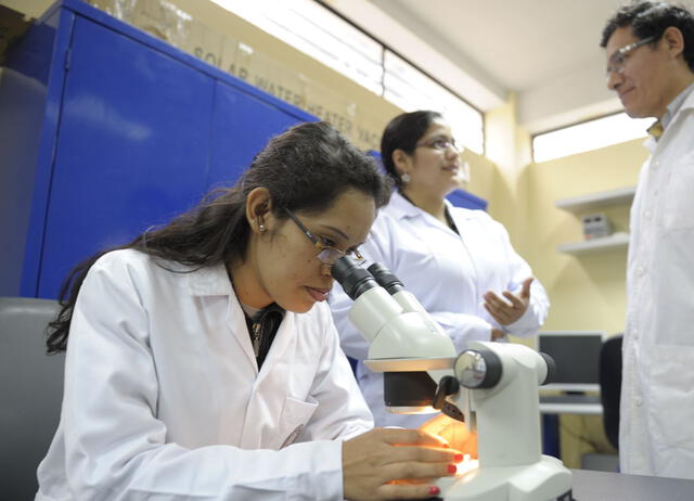 Científicos identifican sobre qué tela se degrada el coronavirus en menos de 24 horas Científicos identifican sobre qué tela se degrada el coronavirus en menos de 24 horas