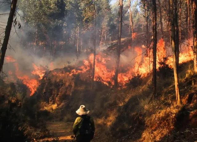  Incendio forestal en la sierra. Foto: Andina.   