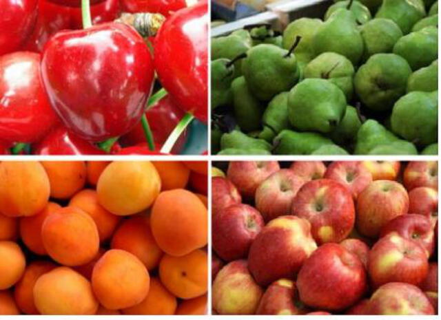 Alerta en Chile por sospecha de bacteria en frutas exportadas a Estados Unidos