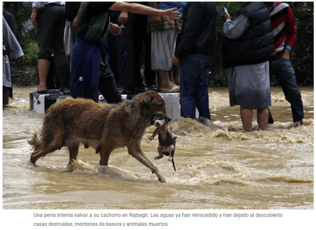  Imagen 4 corresponde a las inundaciones en India en 2014. Foto: captura en web / Al Jazeera.&nbsp;<br><br>    