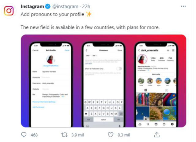 La nueva función de Instagram solo permite agregar pronombres predeterminados. Foto: Instagram/Twitter