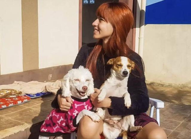 Profesora se hace viral al cargar y consolar a una perrita que había ingresado asustada a su clase