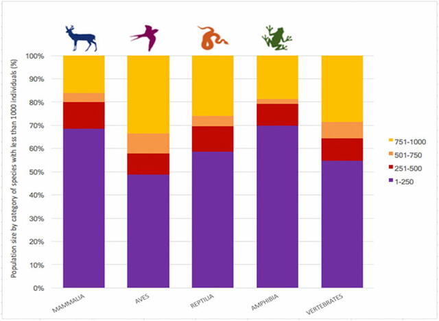 La mayoría de estas especies están especialmente cerca de la extinción porque quedan menos de 250 individuos. Foto: PNAS