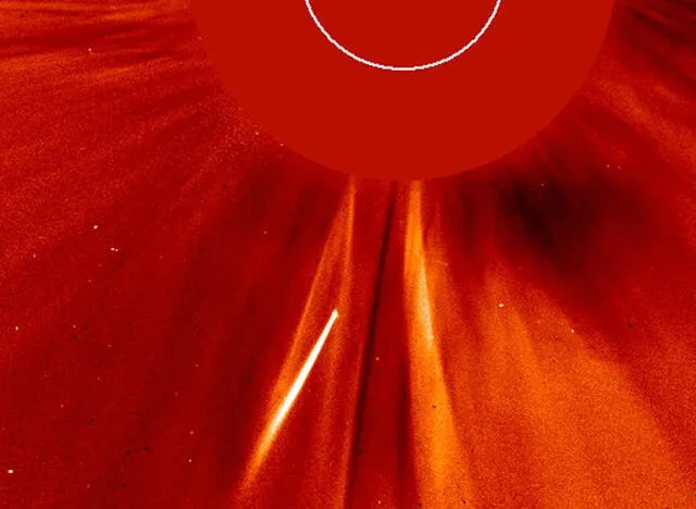 Los cometas proceden de la Nube de Oort o el cinturón de Kuiper y muchos de ellos no sobreviven a su viaje alrededor del Sol. Foto: SOHO-ESA / NASA