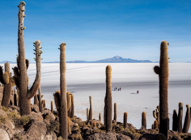 El Salar de Uyuni se encuentra en el suroeste de Bolivia, en la región del Altiplano, a una altitud de aproximadamente 3,656 metros sobre el nivel del mar. Foto: Cédric Gerbehayer.   