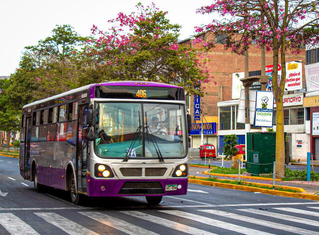 Ruta 406 del corredor morado