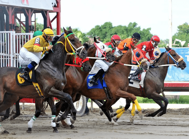 En el Hipódromo Camarero, se fomenta el deporte hípico. Foto: El Vocero