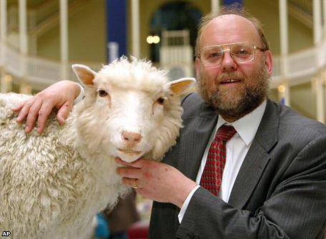 La oveja Dolly con Ian Wilmut, embriologista británico, en una foto de 1997. Foto: El Universo