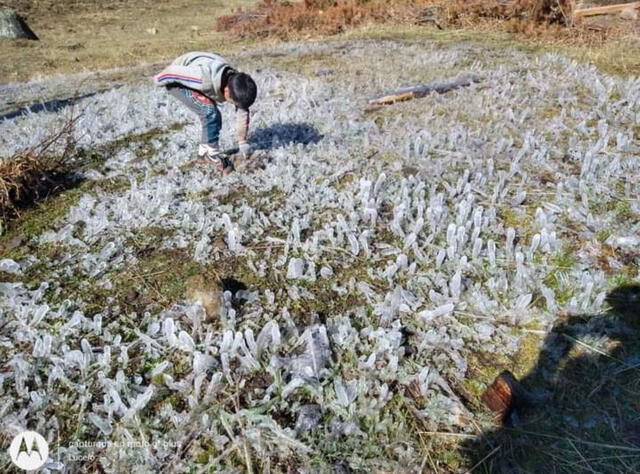 Las heladas afectan los cultivos de las diversas comunidades de los Andes peruanos. Foto: Andina   