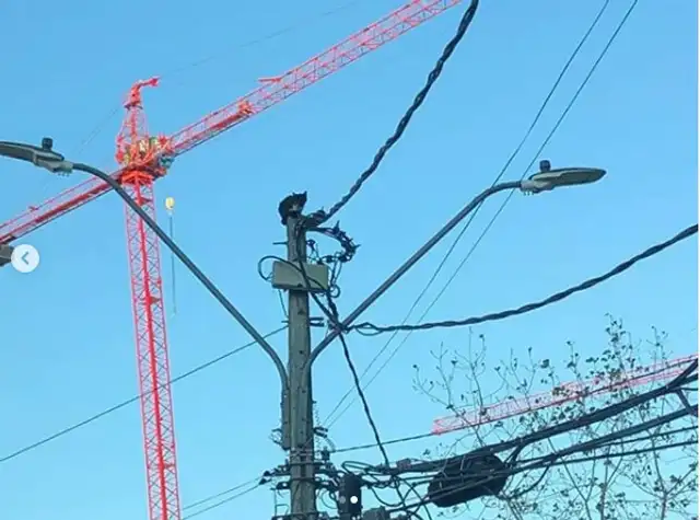El gato corría serio riesgo en lo alto del farol. Fuente: Instagram.