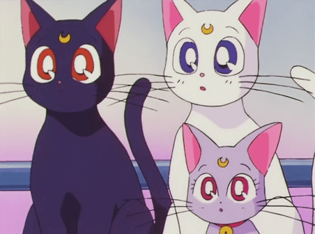 Sailor Moon: estas son las 5 curiosidades que tal vez no conocías 
