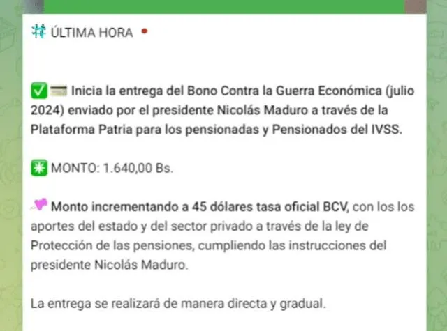 Anuncio del Bono de Guerra para pensionados en julio. Foto: Canal Patria Digital   