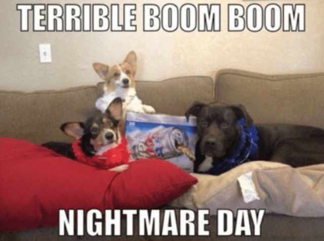 Meme de perritos durante los fuegos artificiales por el Día de la Independencia de Estados Unidos.