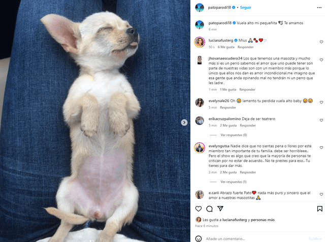  Patricio Parodi compartió una imagen de su mascota. Foto: Instagram/Patricio Parodi 