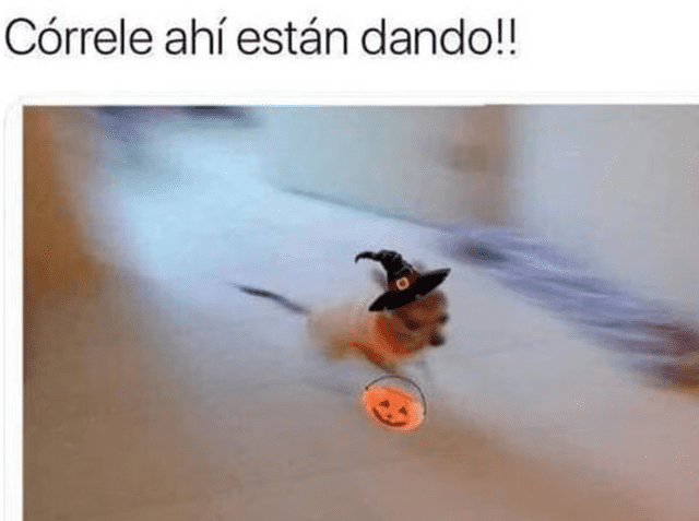  Usuarios compartieron divertidos memes en Halloween. Foto: X    