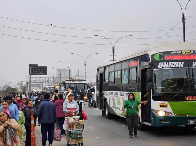 Vipusa transitando con normalidad. Foto: Silvana Quiñonez   
