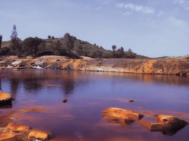 Karachay es el lago más contaminante a nivel mundial. Foto: India-Russia Youth Forum   