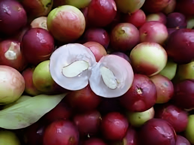 El camu camu, una pequeña fruta que proviene de la selva amazónica, se ha convertido en una sensación en el mundo de la salud. Foto: Comidasperuanas   