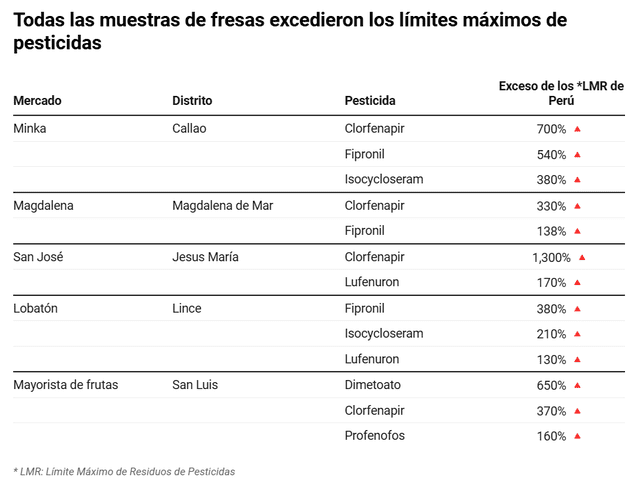  Fresas analizadas en mercados de Lima y Callao superaron límites de pesticidas. Foto: SaludconLupa.<br><br>    