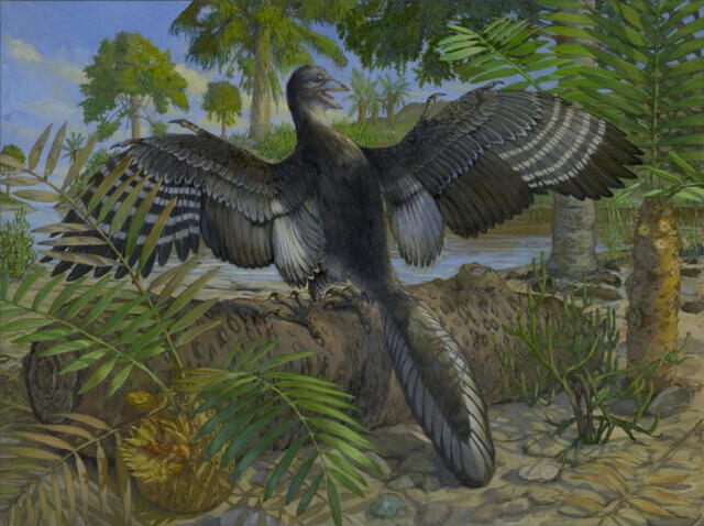 Reconstrucción artística del Archaeopteryx . Foto: Michael-Rothman Reconstrucción artística del Archaeopteryx . Foto: Michael-Rothman