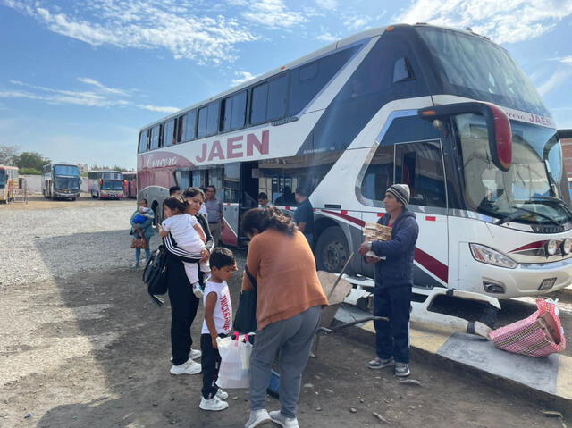 Bus pasajeros