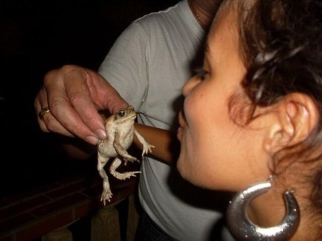  Karol G se mostró emocionada tras compartir estas curiosas fotografías. Foto: Instagram/Karol G   