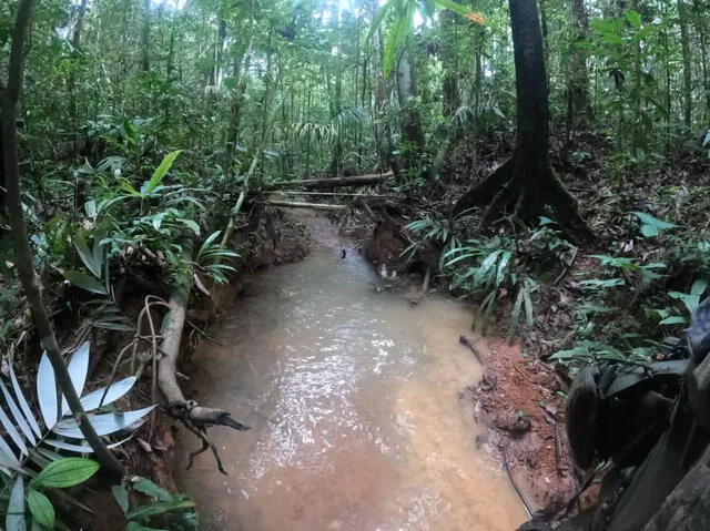  Ya son más de dos semanas desaparecidos. Foto: El Colombiano<br>    