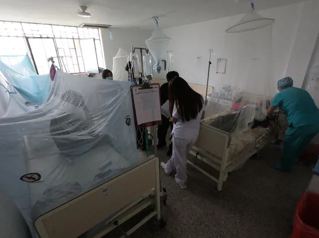  En Lambayeque. Ya hay más de 70 personas fallecidas por dengue. Foto: La República<br><br>    