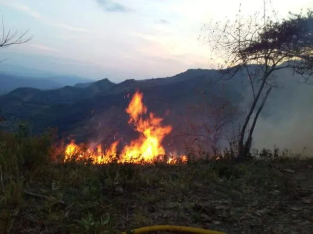 Más de 12 hectáreas están siendo afectadas por los incendios forestales<br> Foto: El Tiempo   