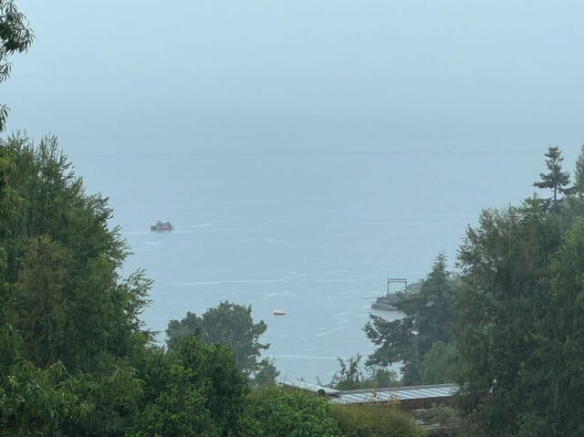 Carabineros se encuentran en el lago Ranco atendiendo la emergencia. Foto: CNN Chile   