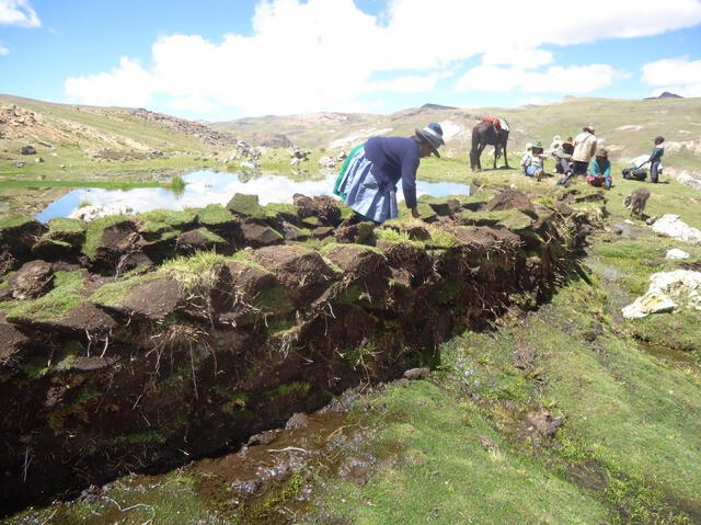 En el Perú la construcción de qochas es fundamental para la cosecha de agua. Foto: PACC Perú.   