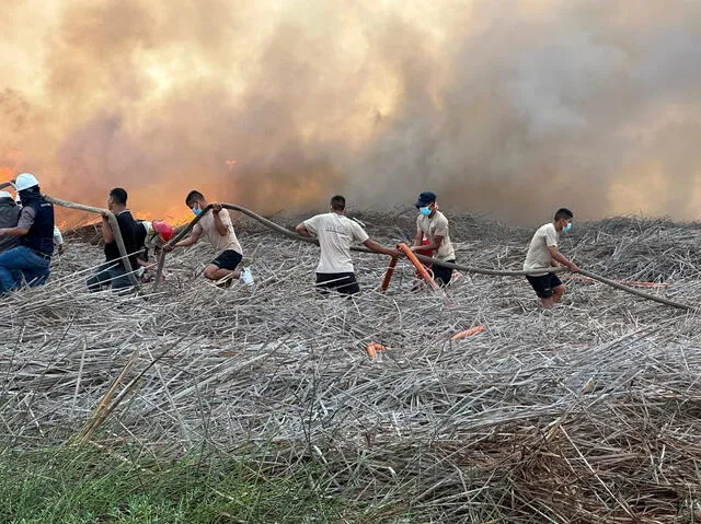 Acciones ciudadanas contra el incendio forestal. Foto: Ministerio de Defensa   