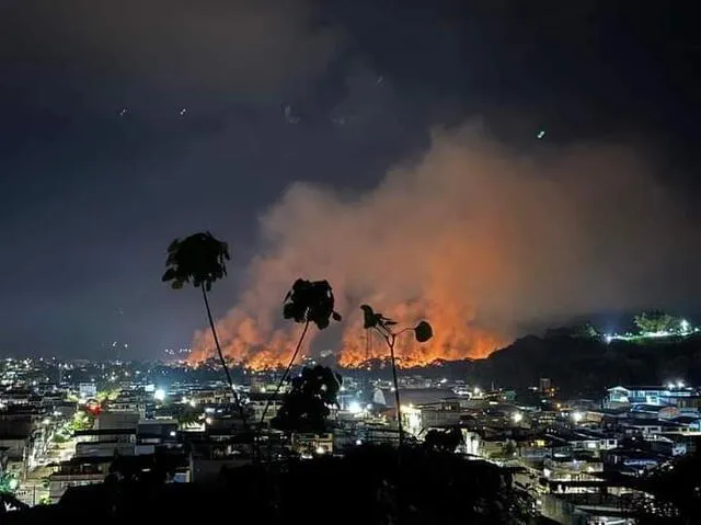 Incendio de grandes proporciones sacude la ciudad de Tingo María, región Huánuco. Foto: difusión   