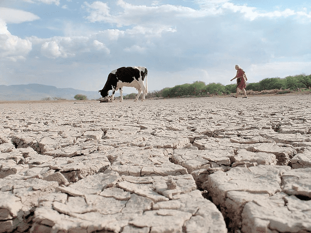 Informar y concienciar a la familia y la comunidad sobre la importancia del ahorro de agua y las prácticas adecuadas para lograrlo. Foto: rtve   