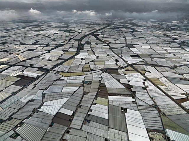 Los invernaderos de Almería producen 3.5 millones de toneladas de frutas y verduras al año. Foto: BBC   