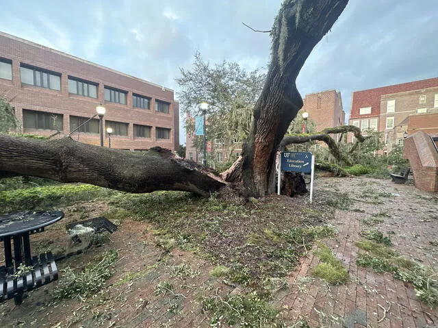  Miles de residentes en las zonas costeras de Florida fueron evacuados antes de la llegada del huracán para proteger sus vidas. Foto: X/ evanwfl   