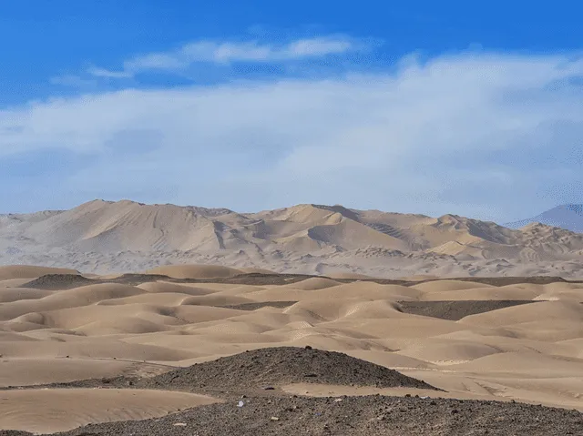 El desierto de Sacaco podría reverdecer gracias a importante hallazgo científico. Foto: Museo de sitio Sacaco.   
