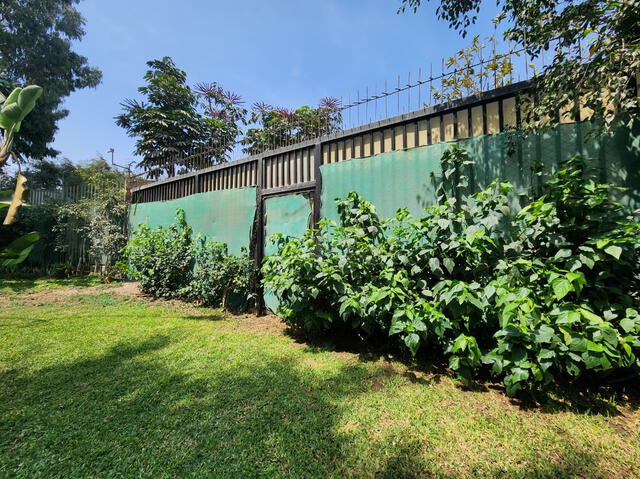 Zonas cercadas en los alrededores de las viviendas de los vecinos del parque 17. Foto: Marcia Chahua Zonas cercadas en los alrededores de las viviendas de los vecinos del parque 17. Foto: Marcia Chahua