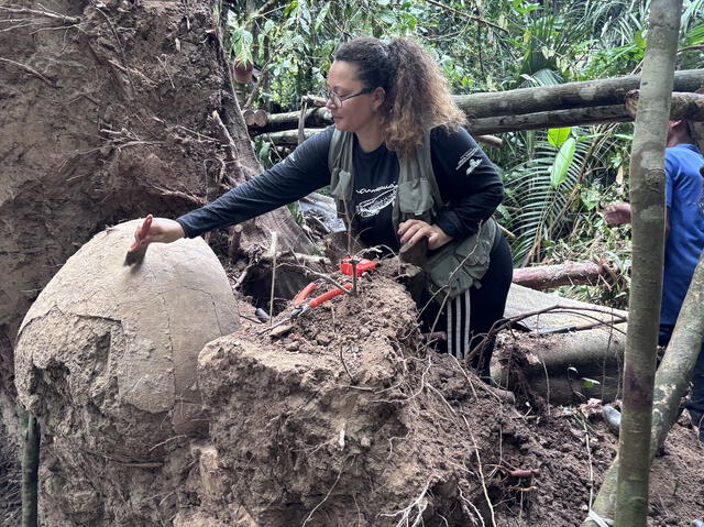  La arqueóloga Geórgea Layla Holanda trabaja en una de las urnas funerarias recuperadas en la selva amazónica brasileña. Foto: Marcio Amaral   