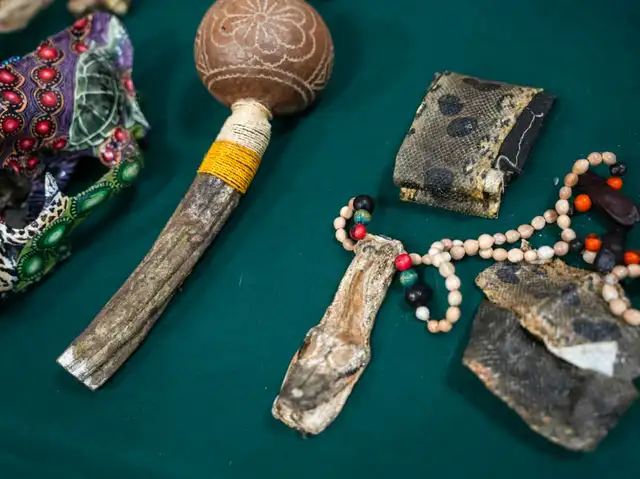 La entidad ha intervenido más de 10.000 especies de fauna silvestre en los últimos dos años. Foto: SERFOR.   