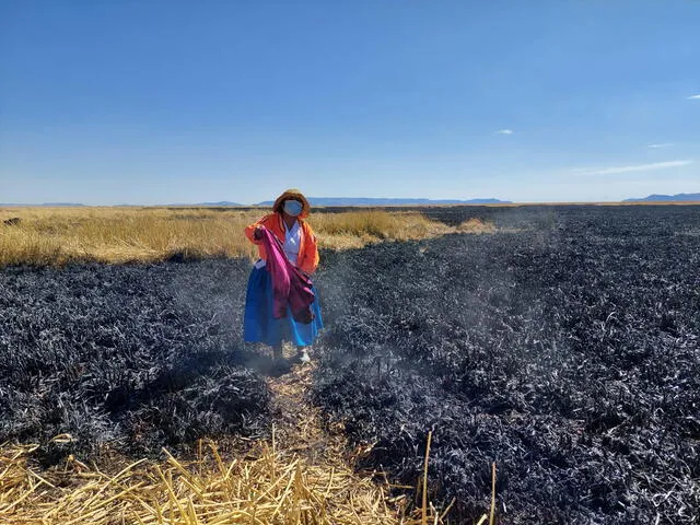 La isla de los Uros quedó así tras incendio. Foto: Liubomir Fernandez / URPI-LR