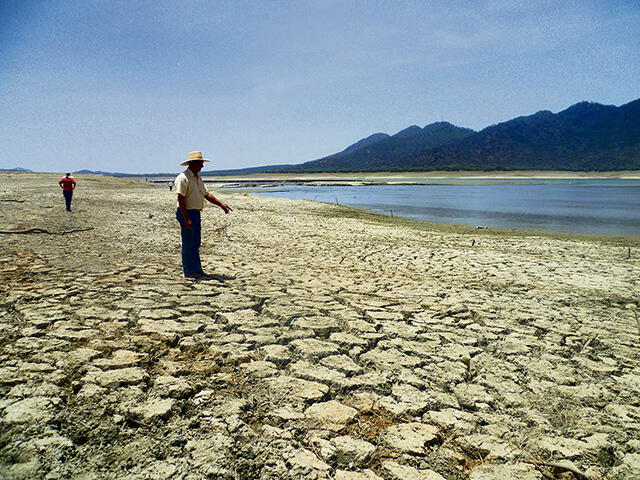 Inminente sequía en valle San Lorenzo pone en riesgo 35 mil hectáreas de frutales 