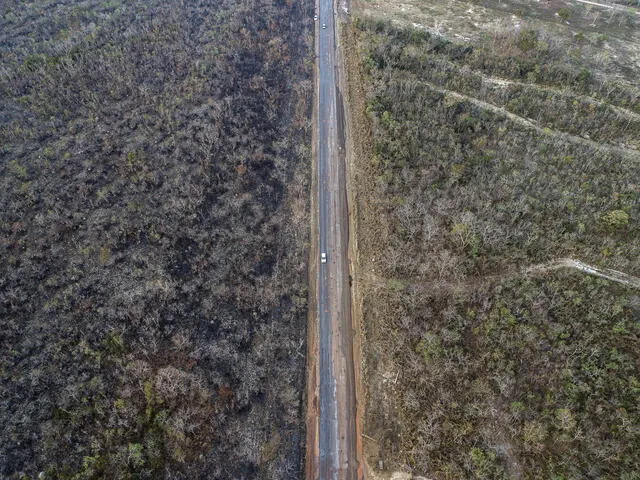 La Amazonía está en llamas y Bolsonaro reitera que ONG son "mayores sospechosas"